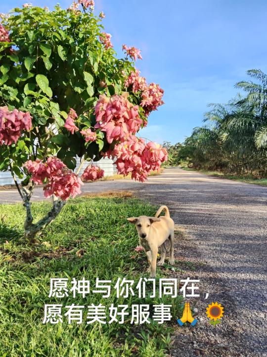 祷告
