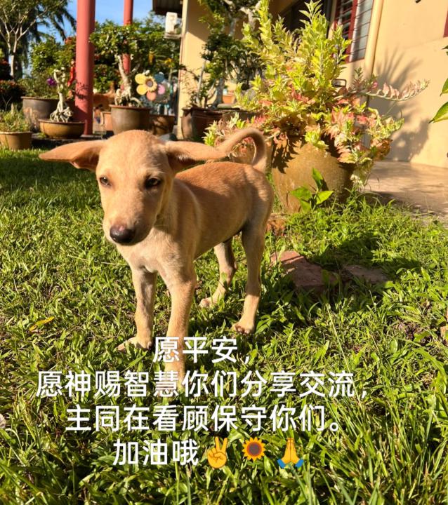 祷告主