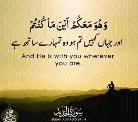Shabana Talib