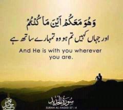Shabana Talib