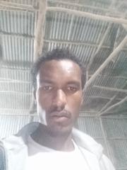 Lachisa Dandena