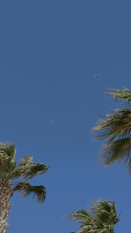 What’s your favorite summer tradition in [MARKET]_ - 06-19-26.gif