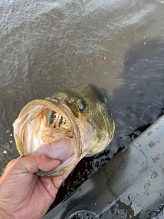 Dirty water or clear water?