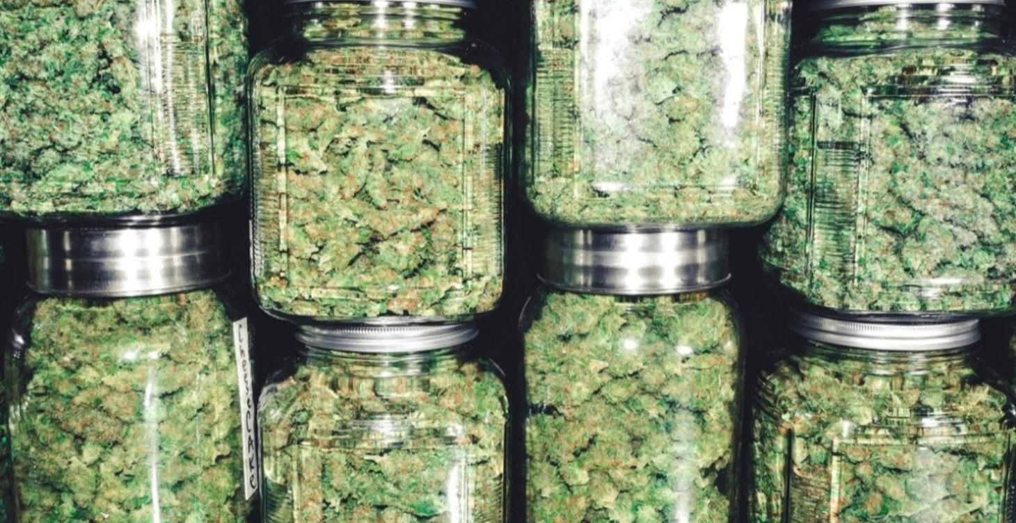 COURSE 6:The Dry snd Cure