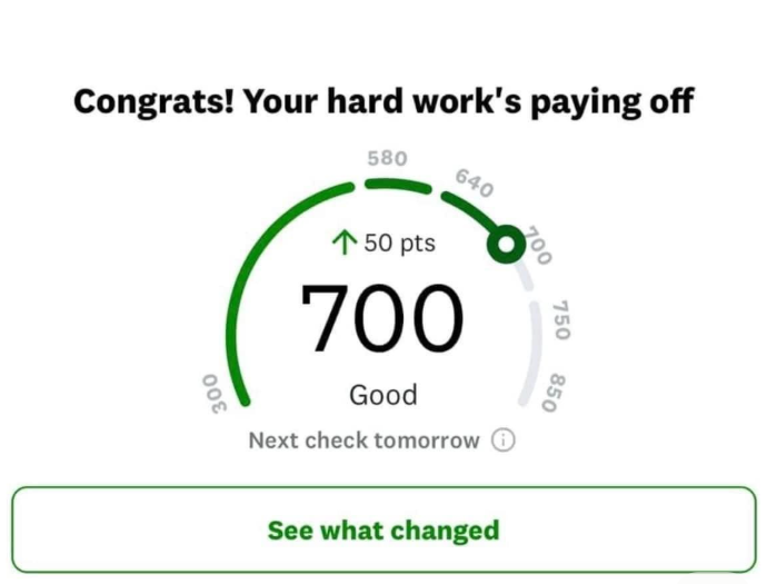 GOOD CREDIT UNLOCKED! I HIT 700 TODAY! 🎉