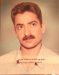 Soodeh Jamali