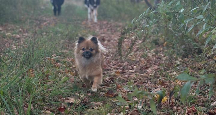 Homestead startup withCaoilinn