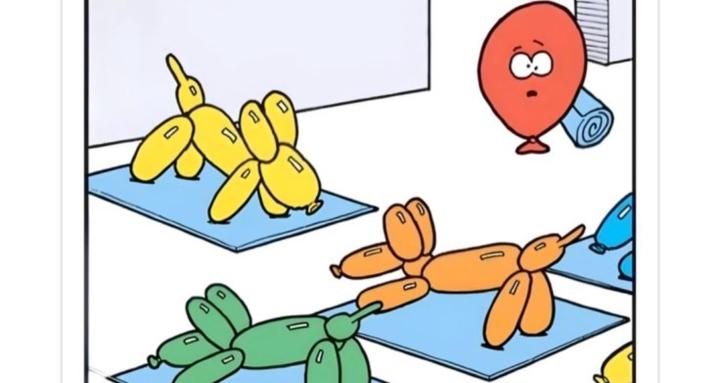 Yoga Studio Owners