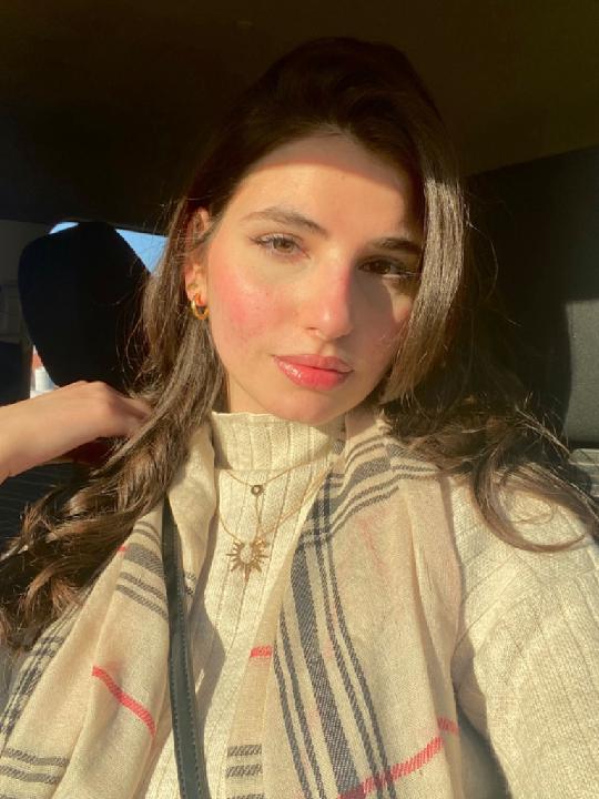 Alissar Ali dib