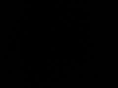 مصعب الرويلي