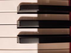 Michi Piano