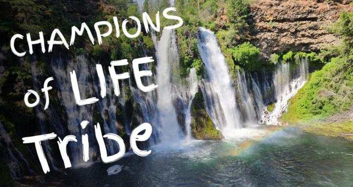 Champions of Life Tribe