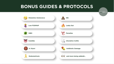 The Holistic Gut Health Hub gallery image