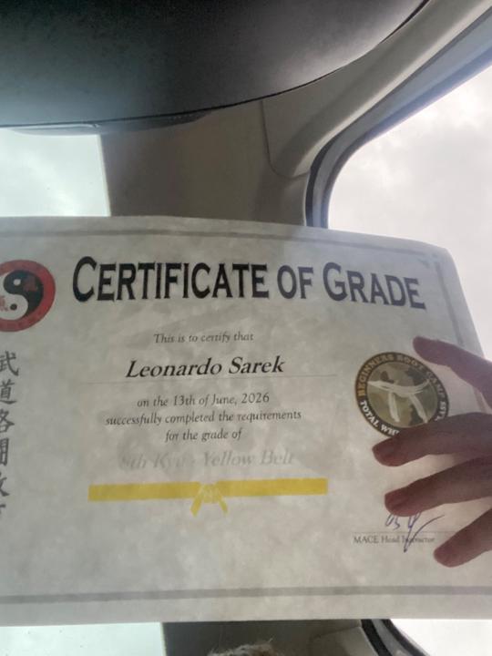 Leo Sarek