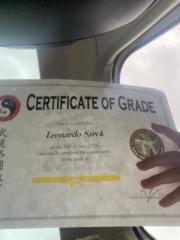 Leo Sarek