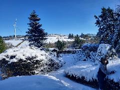 Tanya Sheridan