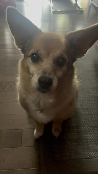 Had to let go of my sweet little girl 