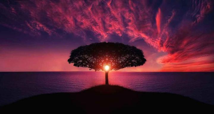 The Truth Within Unleashed