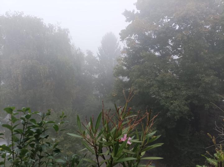 Der Herbst beginnt 🍃🍂🌿🍁