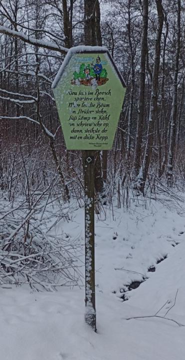 Was ist auf euren Schneefotos zu sehen ? ❄️☃️