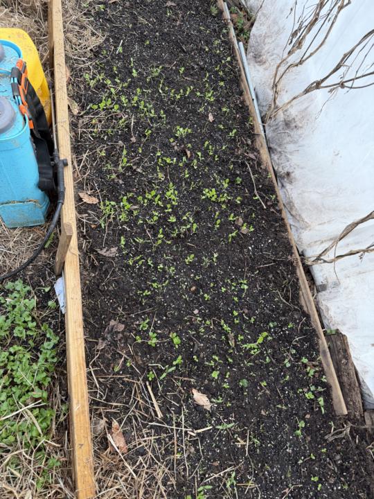 March 18 Journal Zone 7b