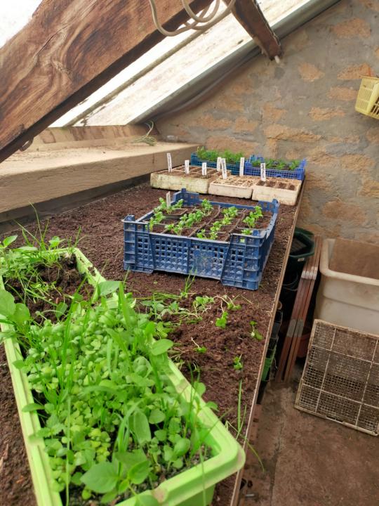 Never stop planting