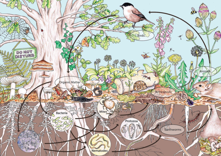 Soil Is the System