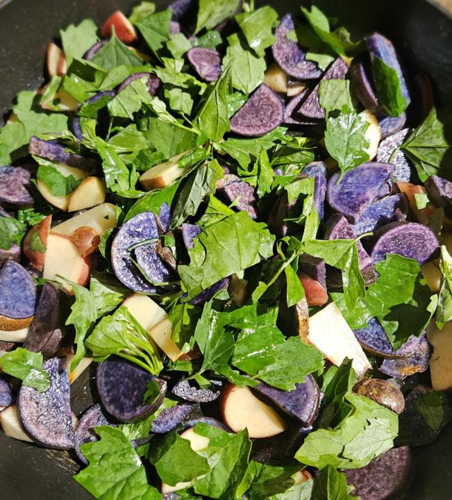 Foraging Project