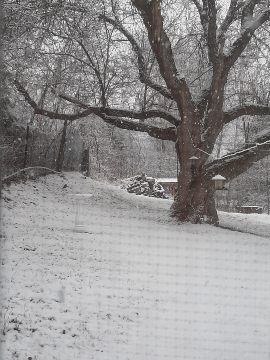 We still have community members enjoying the snow