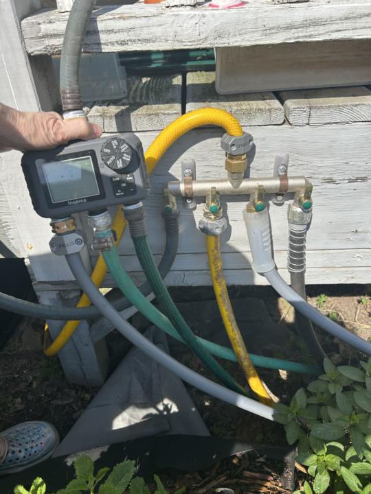 My watering setup