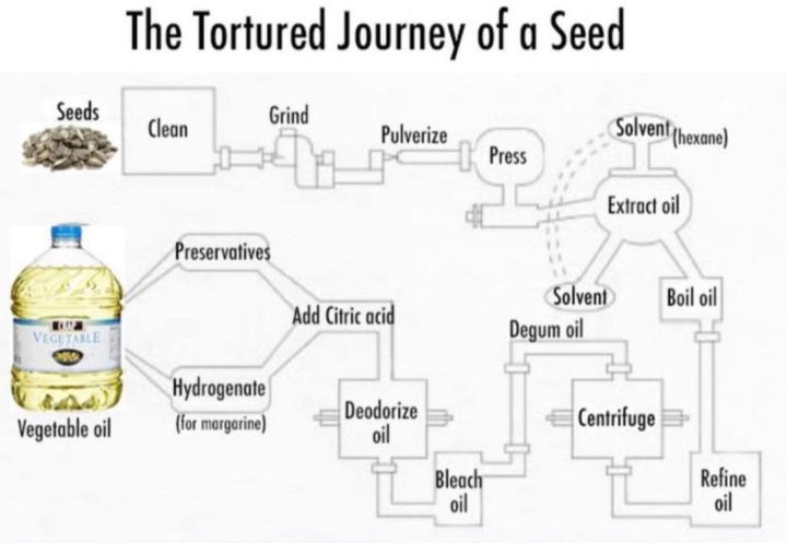 Why seed oils are not good for you
