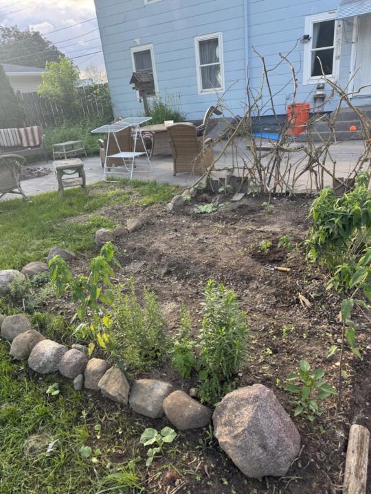 It’s Not Perfect, But It’s Our First Together Garden