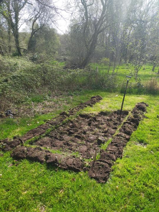 Making a cuttings or seed bed  (4' × 15')