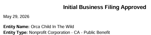 🐋 We Did It. Orca Child In The Wild Is Officially Real. 