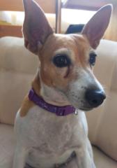 Alejandra Sánchez Santis