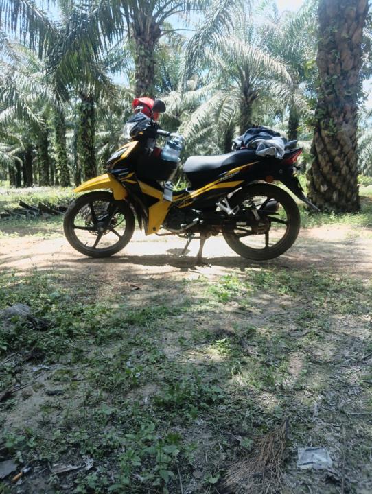 Thanesh Nesh