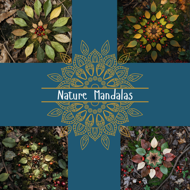 🌿 Nature Mandalas 🌿