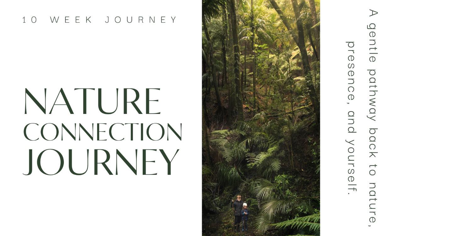 10-Week Nature Connection Journey