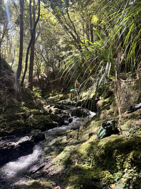 Help Me Fill My Nature Quota Please 🌿