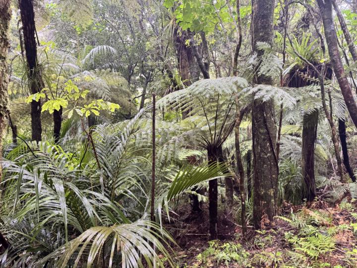10 Week Nature Journey Starting In The Classroom