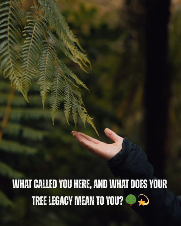 ✨ What Called You Here?