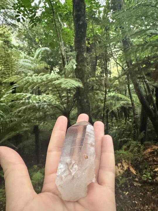 🍃 A gentle question for you today: