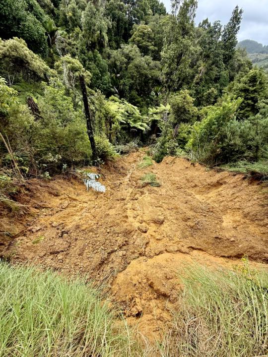 🌿 Landslide! 🌿