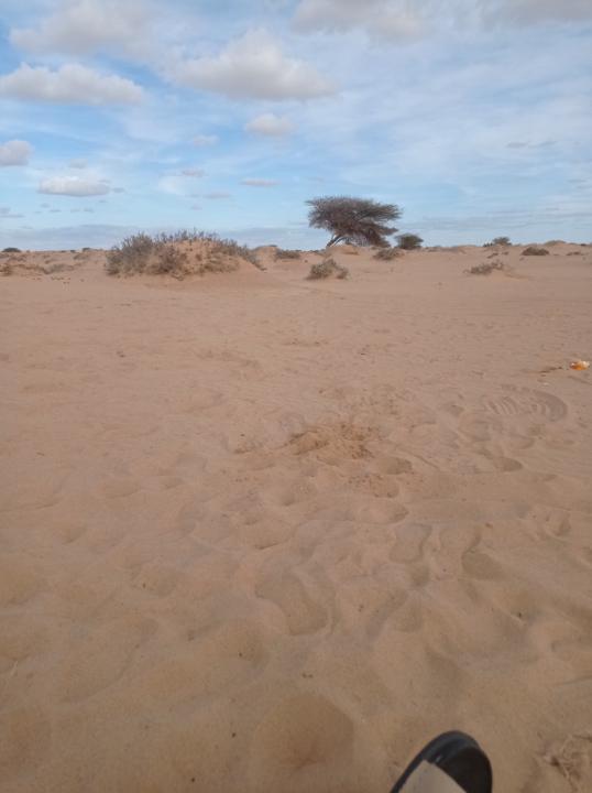 Abdelghani El iraoui