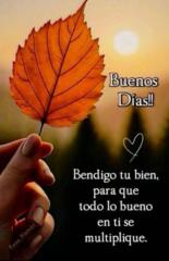 Francisco  Alberto Dominguez Morel