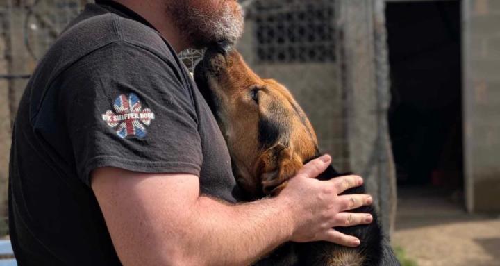 Reactive dog training.