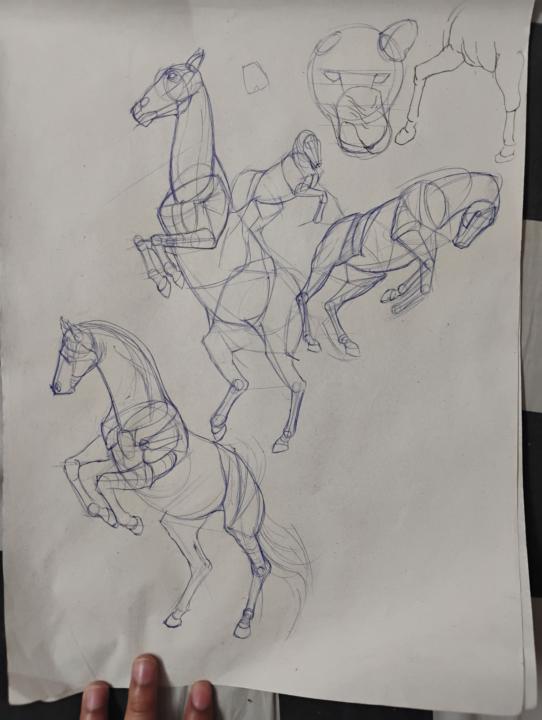 Horses