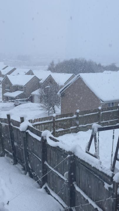 Art in a different light… through snow