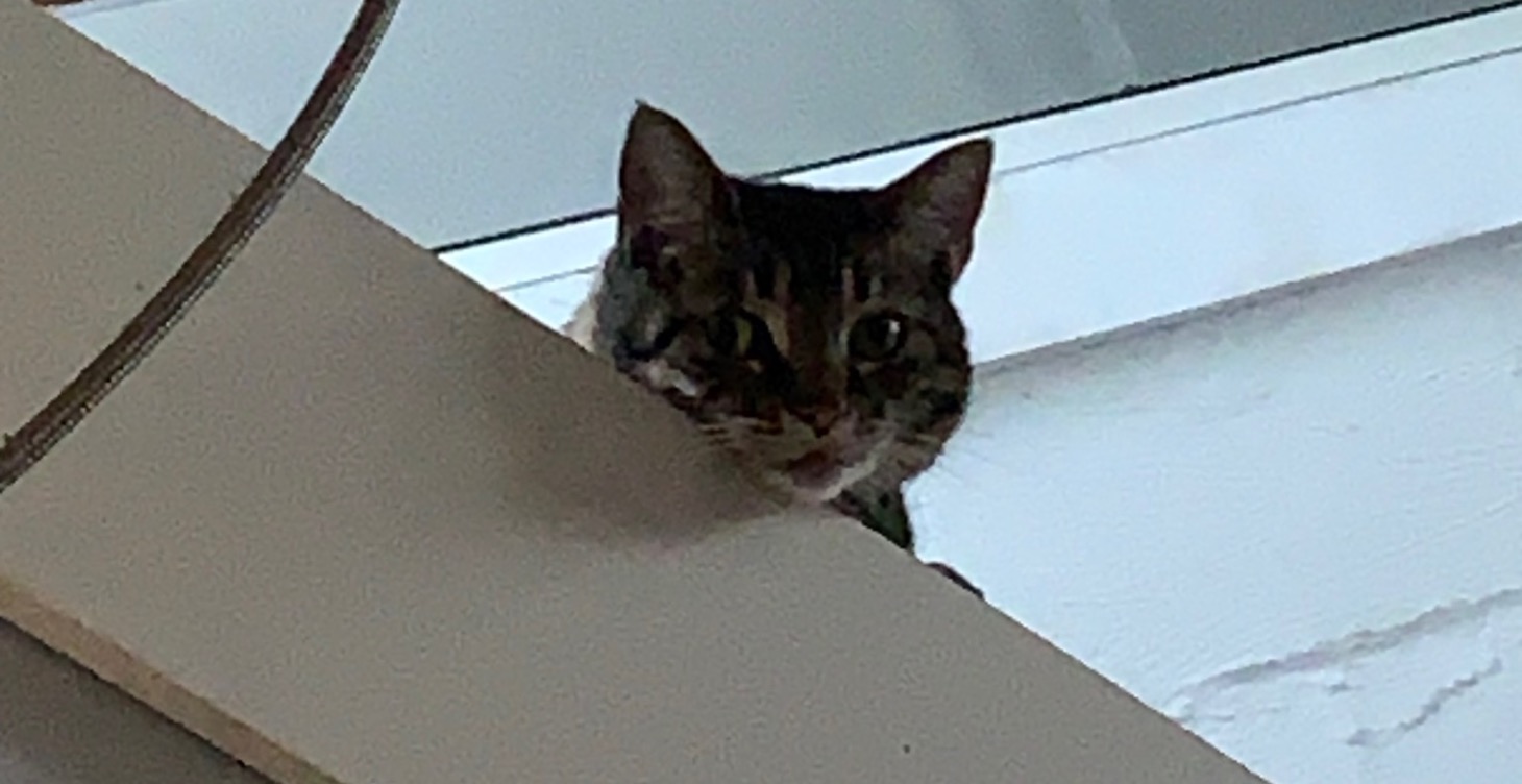 Laws for passive income