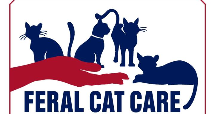 Feral Cat Care